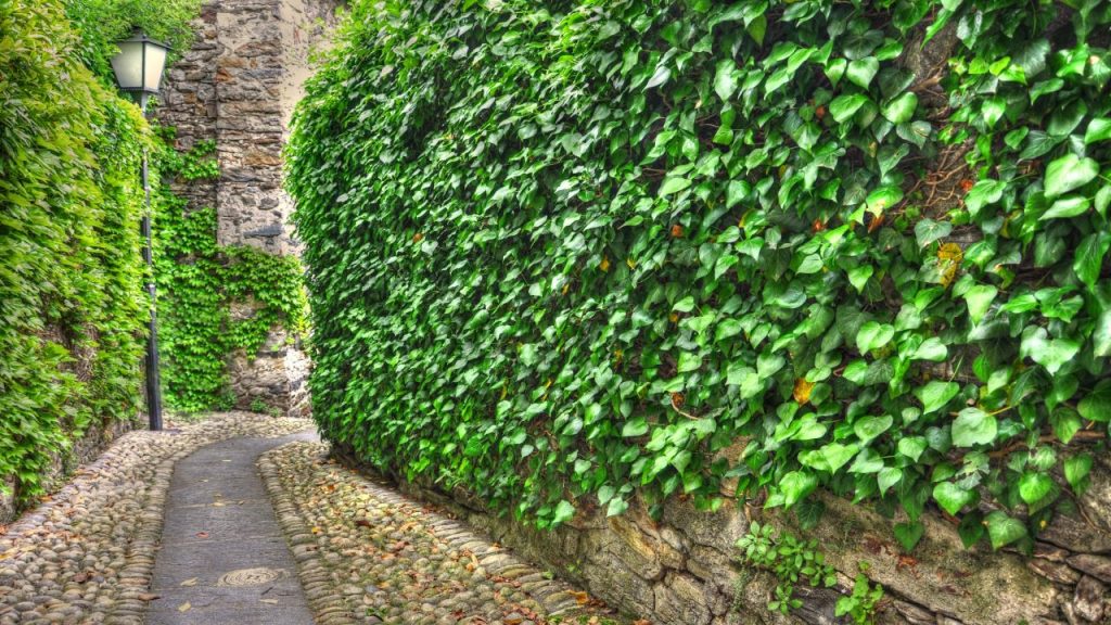 jardin vertical artificial