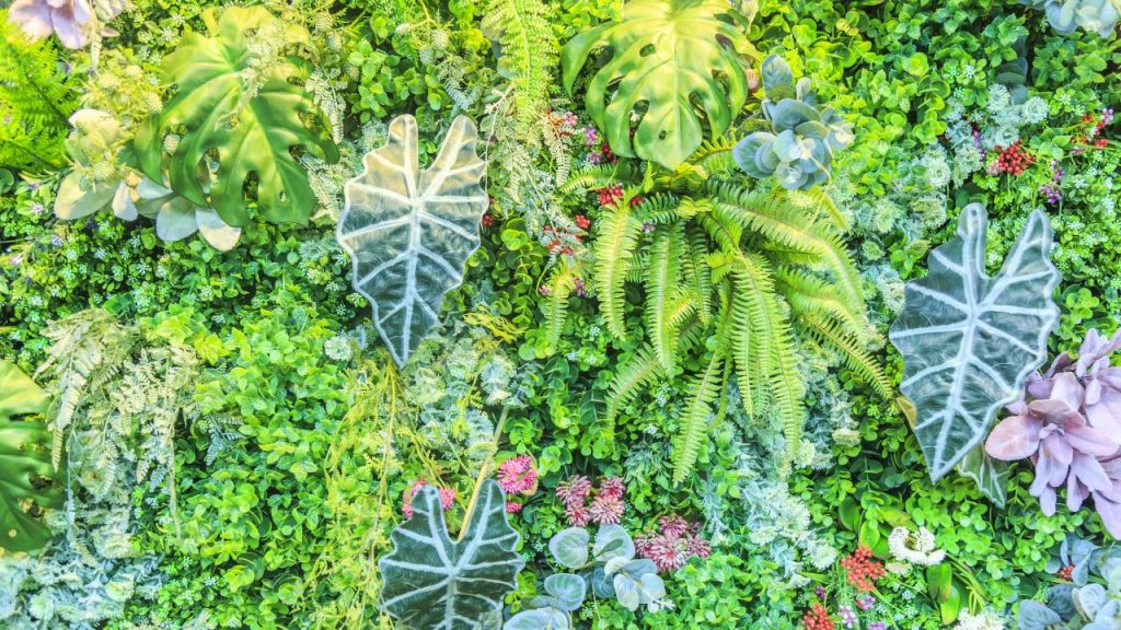 diseños de jardines verticales