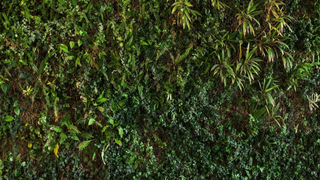 jardin vertical realista