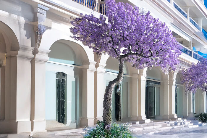 imagen de fabricante de plantas artificiales en Sinder