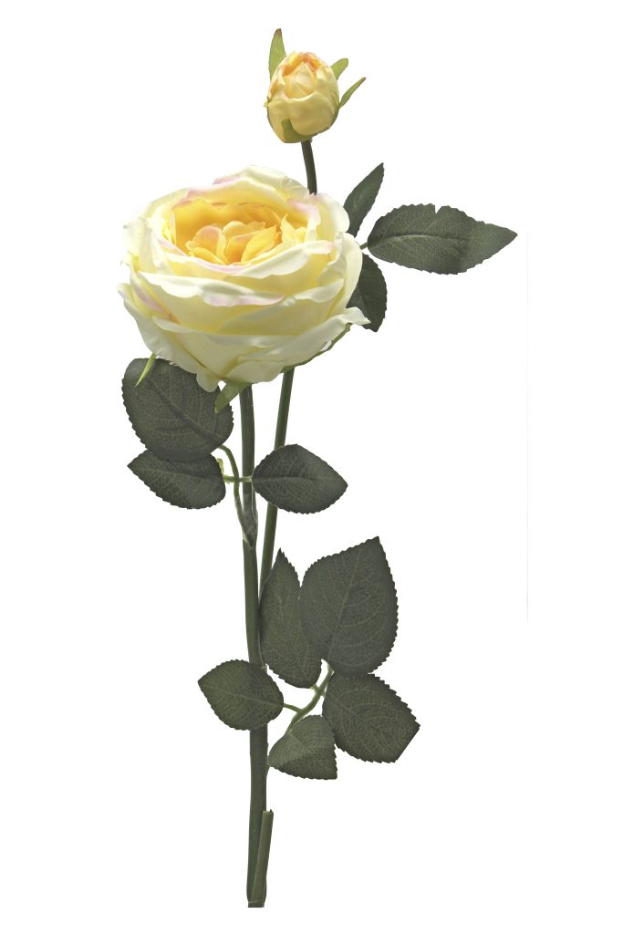 rosa blanca artificial otoño