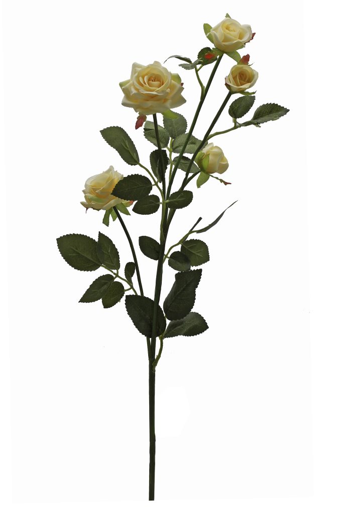 rosa blanca al por mayor