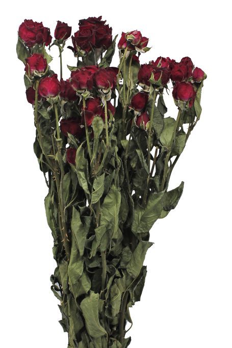 ramo artificial borgoña