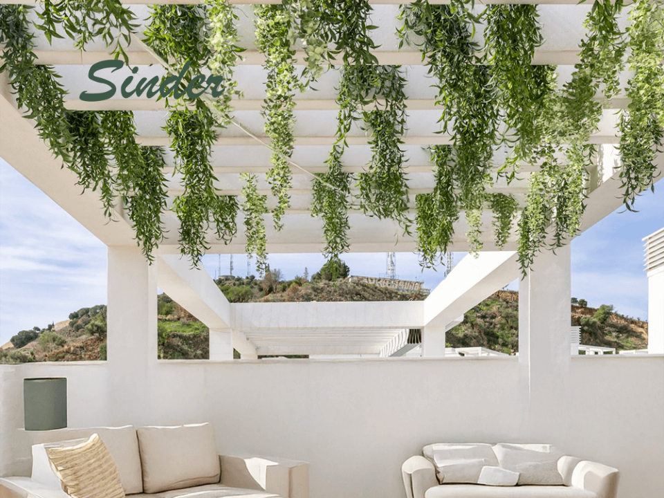 las mejores plantas para proyectos exteriores