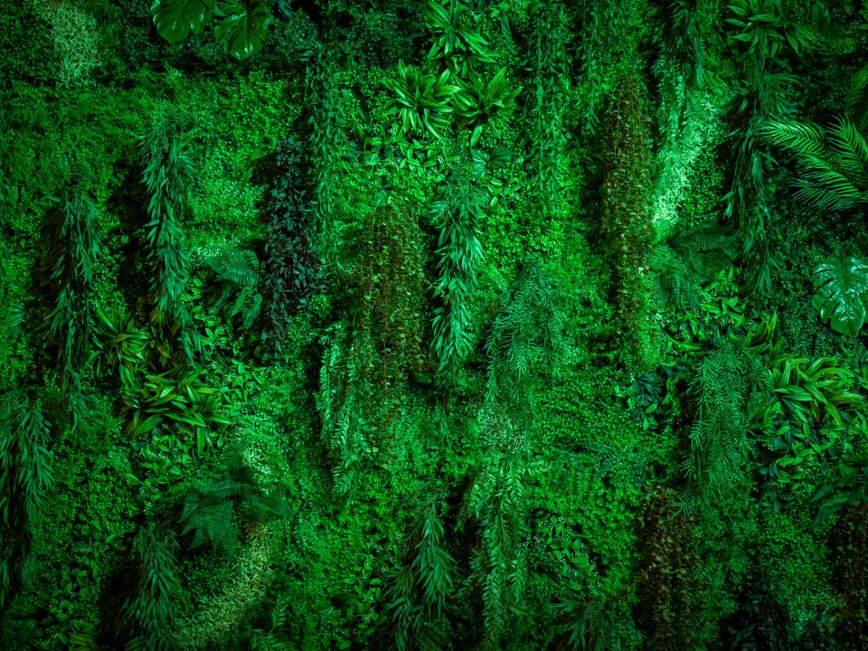 jardín vertical artificial realista