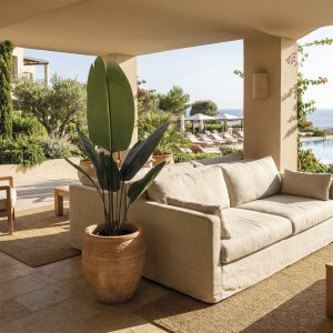 PLANTA AVE DEL PARAISO EXTERIOR 120 CM