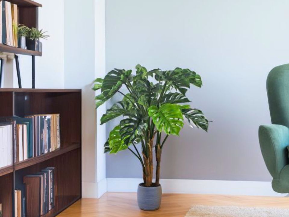 plantas artificiales para oficinas